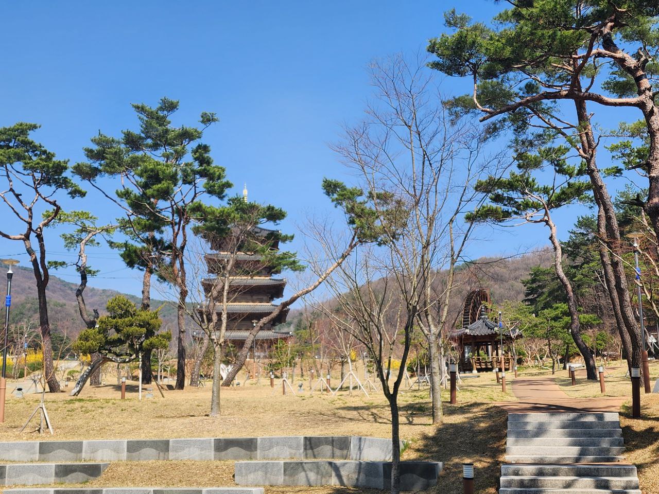 Gallery Image 6